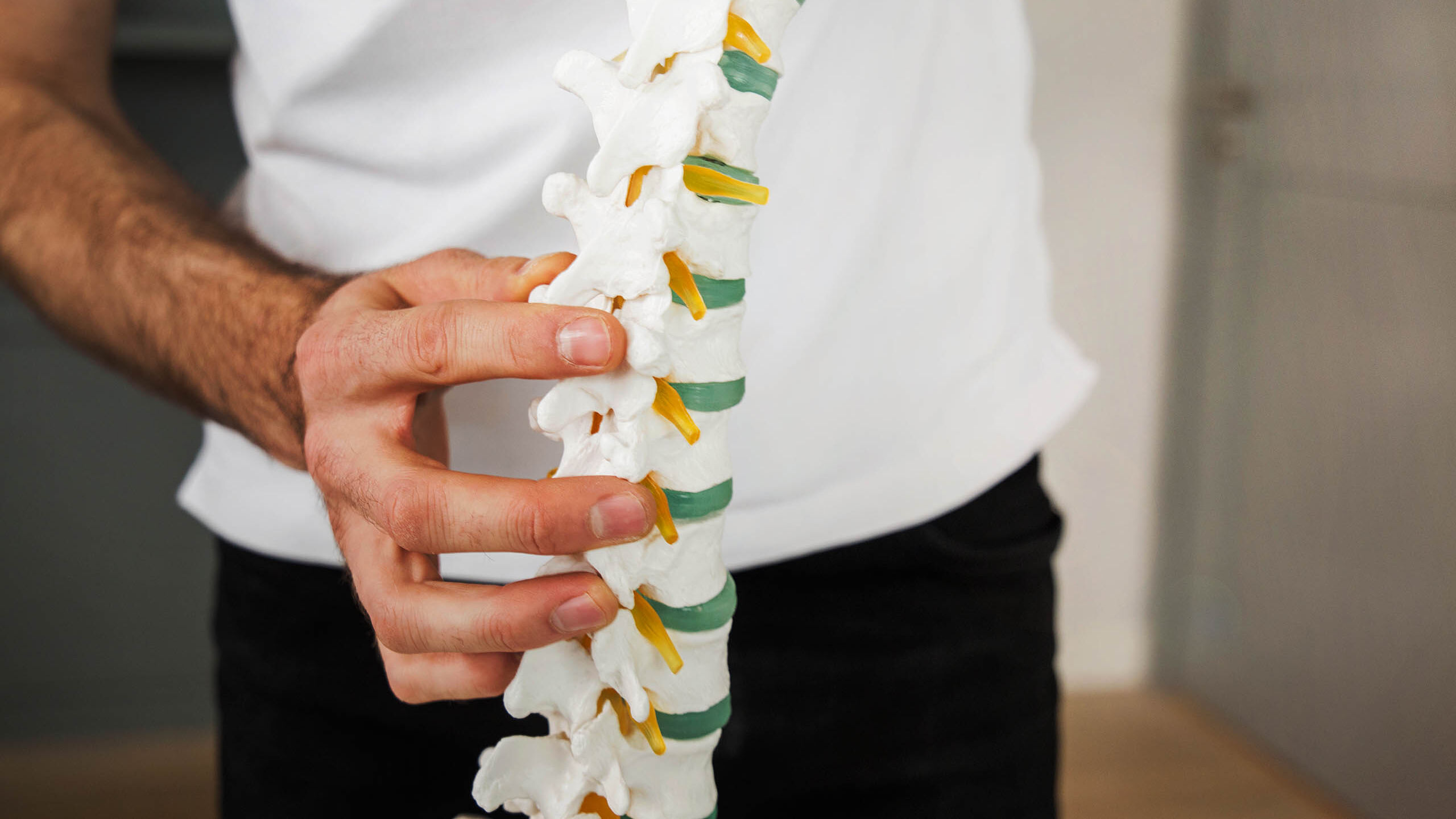 Ein Osteopath hält eine Nachbildung einer Wirbelsäule in der Hand.