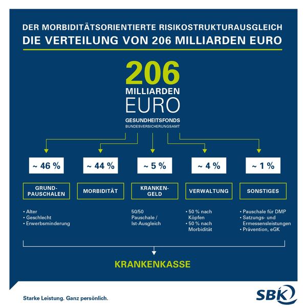 Infografik Verteilung von 206 Mrd Euro