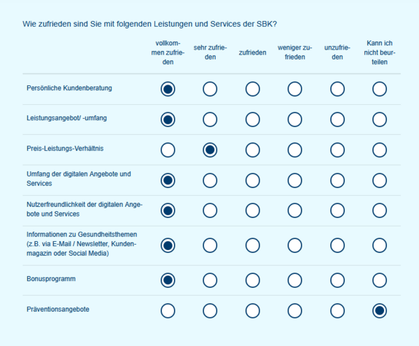 Beispielhafter Fragebogen für die Versichertenbefragung