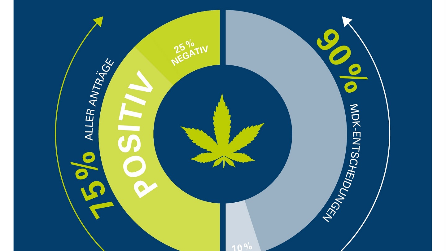 Infografik Cannabis
